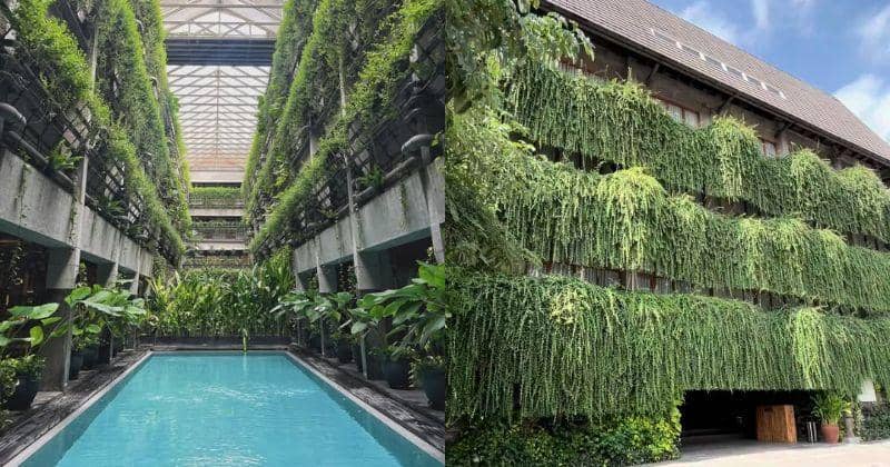 Instagram.com/greenhosthotel